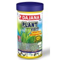 Dajana Plant Root